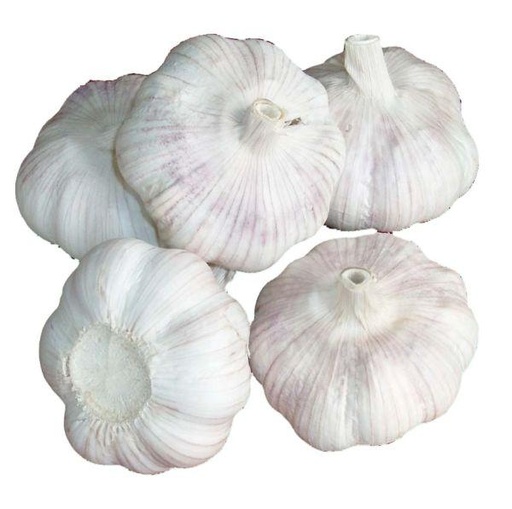 Garlic Fresh (Cat 1) China 20x500gm.